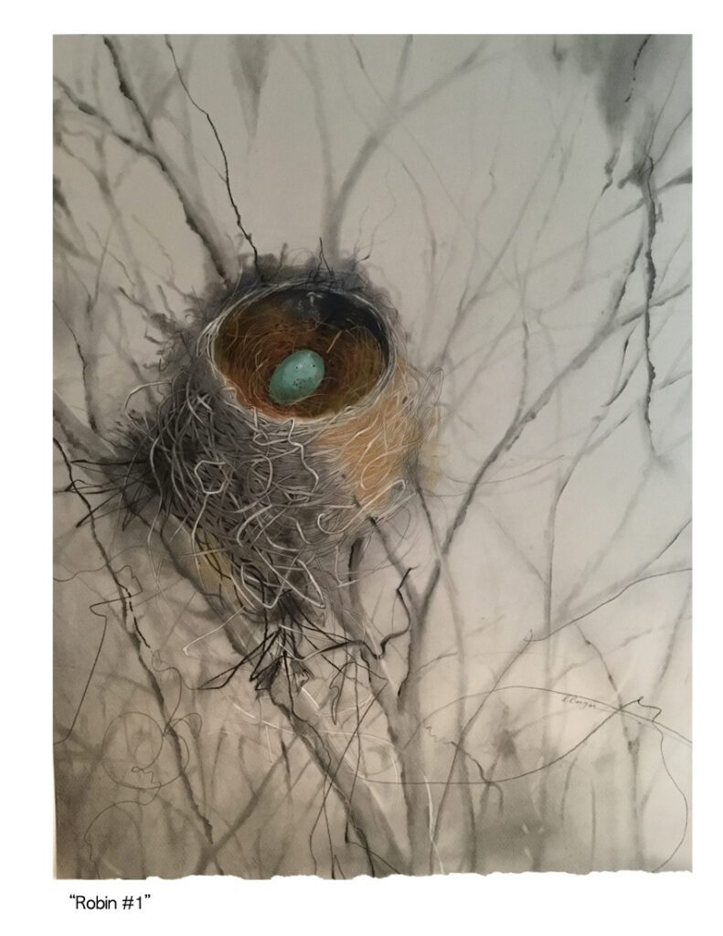 BAYarts Annual Juries Exhibition 2018 - Donna Barger - Robin #1 - Best of Show