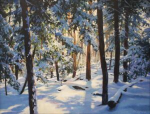Ohio Views - Light & Shadow - Christopher Leeper "Snowglobe"
