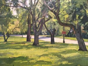 Studies from Direct Observation - Dean Shaffer - View of Trees, Edgewater Park #1