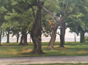 Studies from Direct Observation - Dean Shaffer - View of Trees, Edgewater Park #2