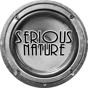 BAYarts Summer Concert Series with band Serious Nature